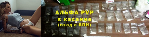 твердый Пересвет
