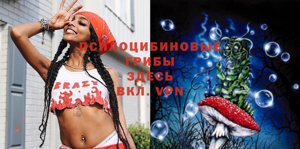 прущие грибы Арсеньев
