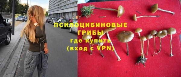 стафф Армянск