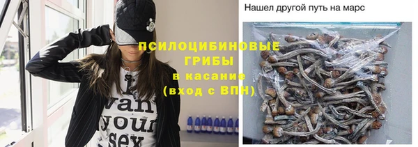 стафф Армянск