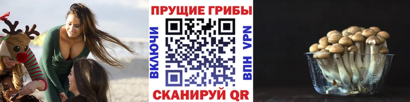 Галлюциногенные грибы прущие грибы Углич