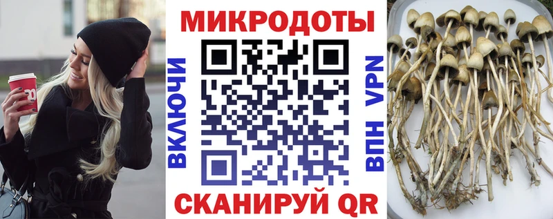 дарнет шоп  Углич  Галлюциногенные грибы MAGIC MUSHROOMS 